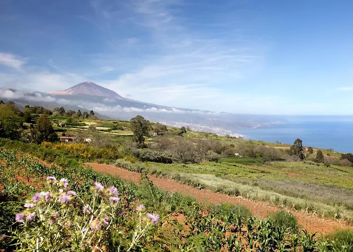 Diablitos 5 Holiday home *