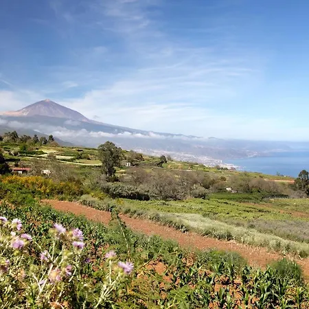 Diablitos 5 بيت للعطل *